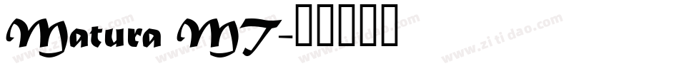 Matura MT字体转换